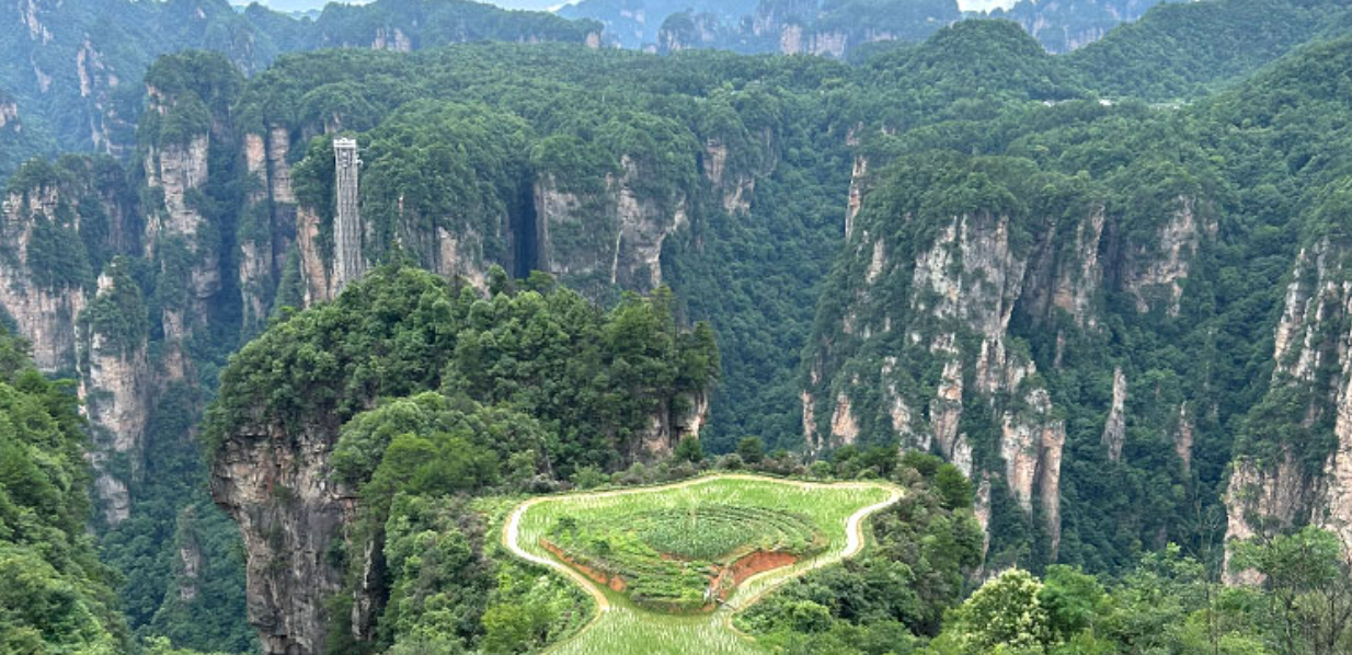 tianzi mountain